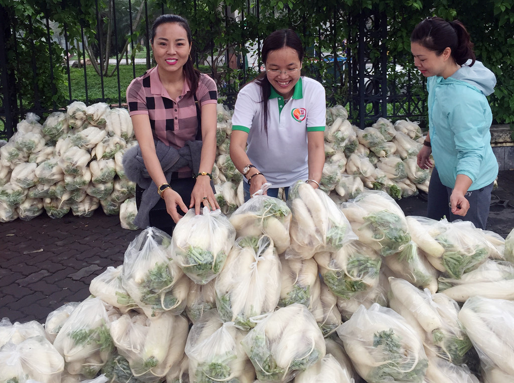 Giải cứu củ cải ở Hà Nội, 25.000 đồng một túi 5 kg